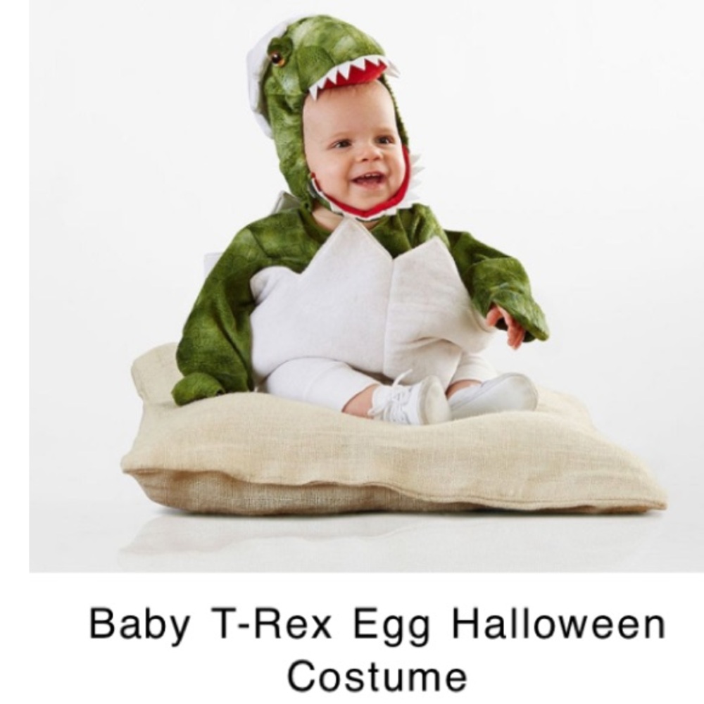 Pottery Barn Kids TRex in Egg Dinosaur Costume - size 12-24 months